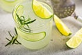 Cucumber gin gimlet Royalty Free Stock Photo