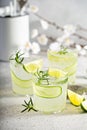 Cucumber gin gimlet Royalty Free Stock Photo