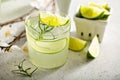 Cucumber gin gimlet Royalty Free Stock Photo