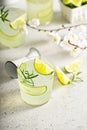Cucumber gin gimlet Royalty Free Stock Photo