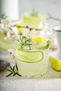 Cucumber gin gimlet Royalty Free Stock Photo