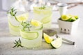 Cucumber gin gimlet Royalty Free Stock Photo