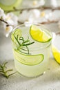 Cucumber gin gimlet Royalty Free Stock Photo