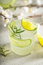 Cucumber gin gimlet