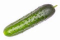 Cucumber. Green ripe cucumber on a white background. Close-up. Isolated. Healthy food. Vegetarianism. Vegan