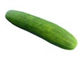 Cucumber