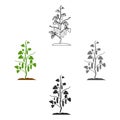 Cucumber icon cartoon,black. Single plant icon from the big farm, garden, agriculture cartoon,black.