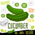 Cucumber icon label fresh organic vegetable, vegetables nuts herbs spice condiment color graphic design vegan food.