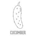 Cucumber icon, outline style.