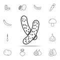 cucumber icon. Set of fruits and vegetables icon. Premium quality graphic design. Signs, outline symbols collection, simple thin l