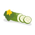 Cucumber icon. Whole cucumber, half chopped, slices.