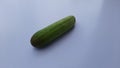 Cucumber image in white Background,one cucumber iimage,Selective Focus
