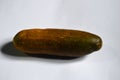Cucumber image with a white background