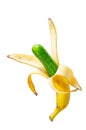 cucumber inside opened banana peel. Genetically modified fruit isolated on white background. Contemporary art collage