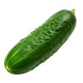 Cucumber isolated on transparent background. Clipping path included. Royalty Free Stock Photo