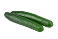 Cucumber