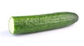 Cucumber Isolated on White Background. Green Fresh Cucumber Closeup. Healthy Food Royalty Free Stock Photo