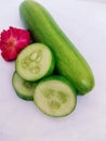 Cucumber kheera khira concombre gurke cucumis sativus cetriolo pepino-cucumber for salad slicing green food closeup view image