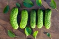 Cucumber and leaf on wood