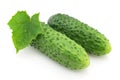 Cucumber with leaves Royalty Free Stock Photo