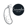 Cucumber linear graphic design. Black and white image of vegetables.