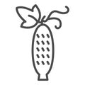 Cucumber linear icon. Vegetable. Agriculture plant. Salad ingredient. Vegetable farm. Thin line illustration. Contour