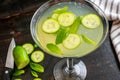 Cucumber Mint Martini Royalty Free Stock Photo