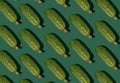 Cucumber pattern. Cucumbers on a green background. Vegetables.