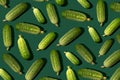Cucumber pattern. Cucumbers on a green background. Vegetables.