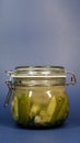 Cucumber pickles in a ferment jar