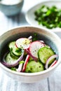Cucumber and radish salad with red onion, sea salt and black pepper