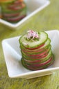 Cucumber and radish starter Royalty Free Stock Photo