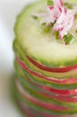 Cucumber and radish starter Royalty Free Stock Photo