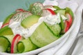 Cucumber salad with radish and avocado cream sauce Royalty Free Stock Photo