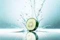 a cucumber slice dropped into water splash with droplets, blurred natural background Royalty Free Stock Photo