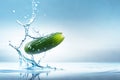 a cucumber slice dropped into water splash with droplets, blurred natural background Royalty Free Stock Photo