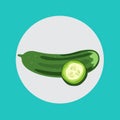 Cucumber with slice flat design vector