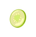 Cucumber Slice Icon Closeup Vector Illustration