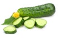 cucumber with sliced cucumber and leaf isolated on white background Royalty Free Stock Photo