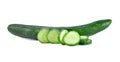 Cucumber sliced isolated over white background Royalty Free Stock Photo