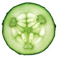 Cucumber sliced and isolated