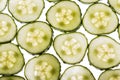 Cucumber slices Royalty Free Stock Photo