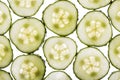 Cucumber slices Royalty Free Stock Photo