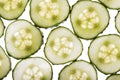 Cucumber slices Royalty Free Stock Photo