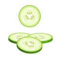 Cucumber slices for burger or sandwich Illustration of food for shops