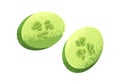 Cucumber slices. Fresh green vegetable, cut pieces, sections with seeds composition. Healthy raw food. Textured stylized