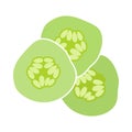 Cucumber Slices For SPA Icon