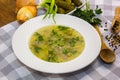 Cucumber soup - traditional Polish and Ukrainian soup with the addition of pickled cucumbers