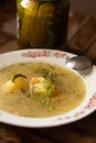 Cucumber soup traditional ukrainian and polish soup