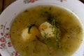 Cucumber soup traditional ukrainian and polish soup